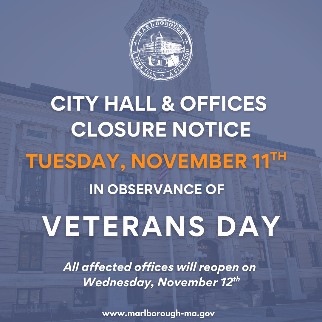 Veterans Day City Hall Closure Graphic