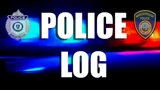 Police Log image