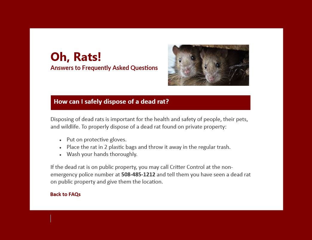 Disposal of Dead Rat
