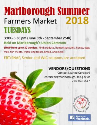 Tuesday Summer Farmers Market